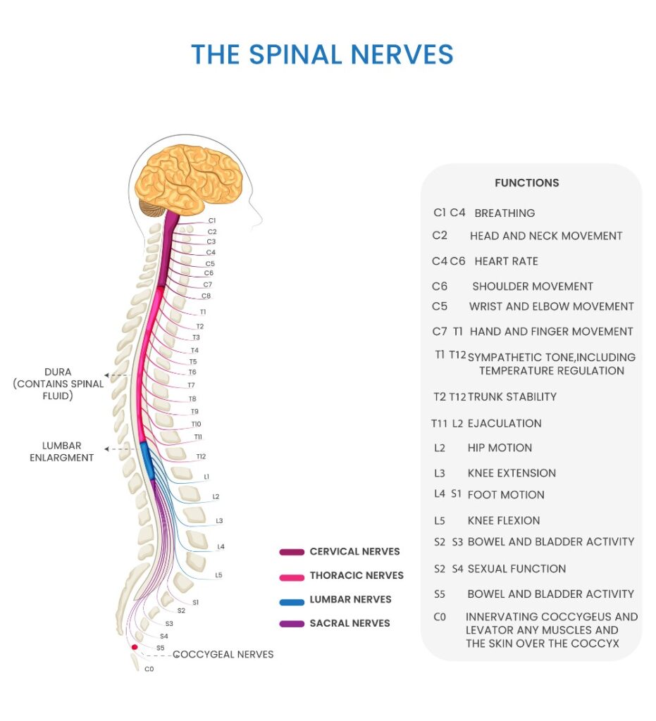 Neurological disorders treatment Stem Cell Therapy for Brain Injury