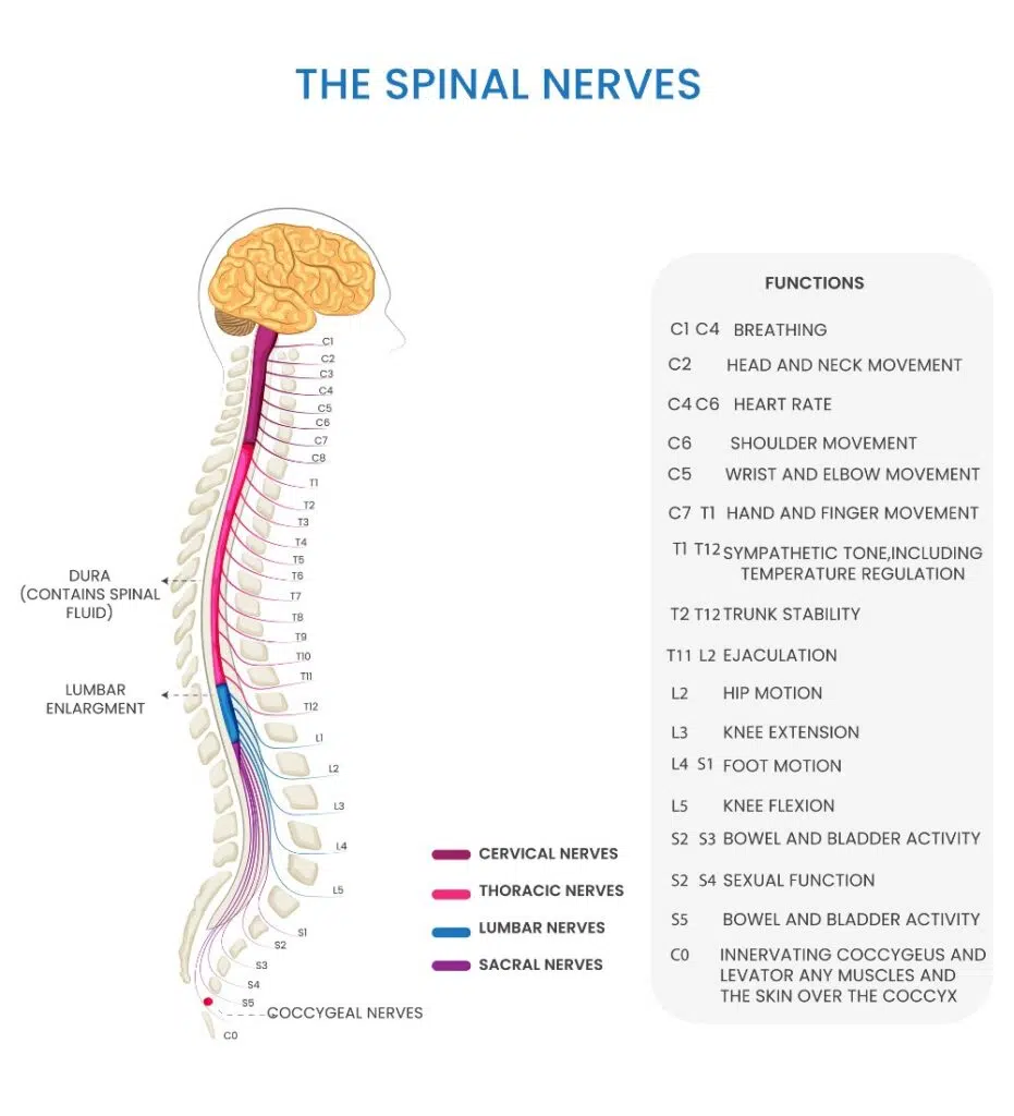 Neurological disorders treatment Stem Cell Therapy for Brain Injury