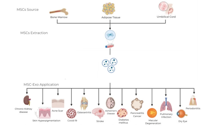 Terapia MISID